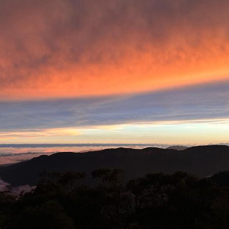 Valley Of The Waters B&B Wentworth Falls Eksteriør bilde