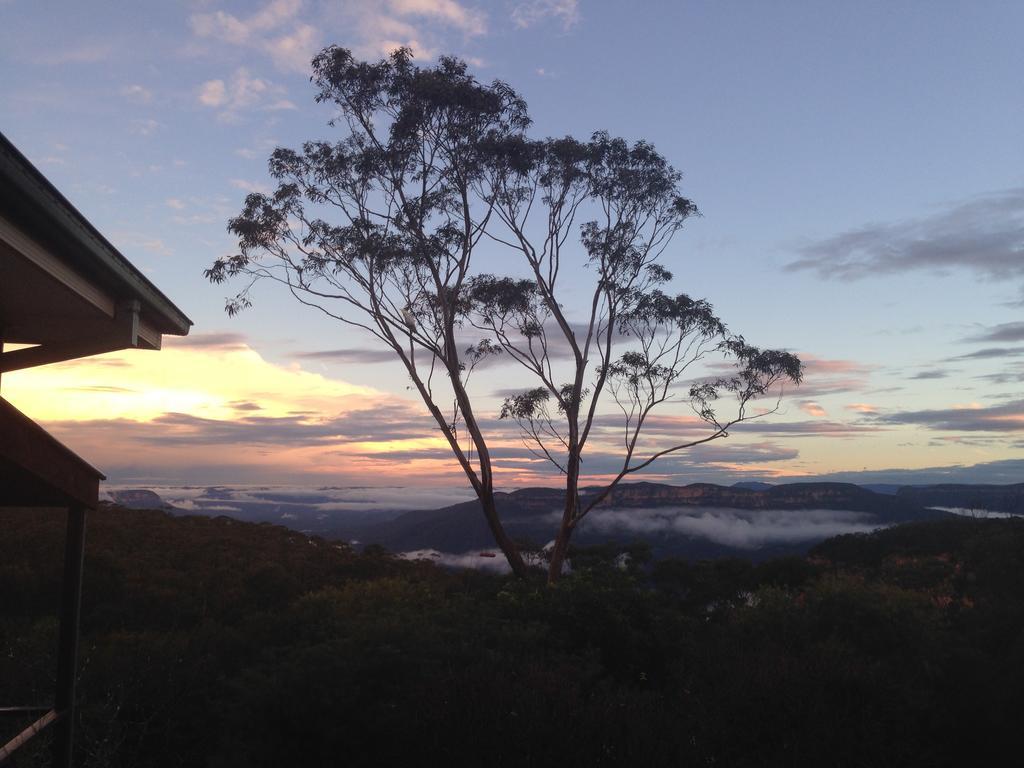 Valley Of The Waters B&B Wentworth Falls Eksteriør bilde