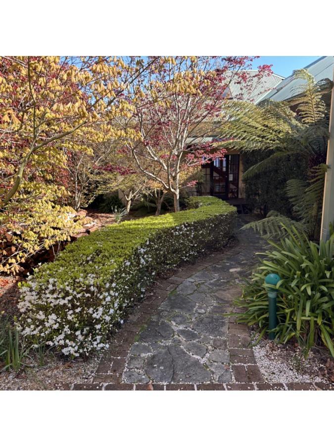 Valley Of The Waters B&B Wentworth Falls Eksteriør bilde