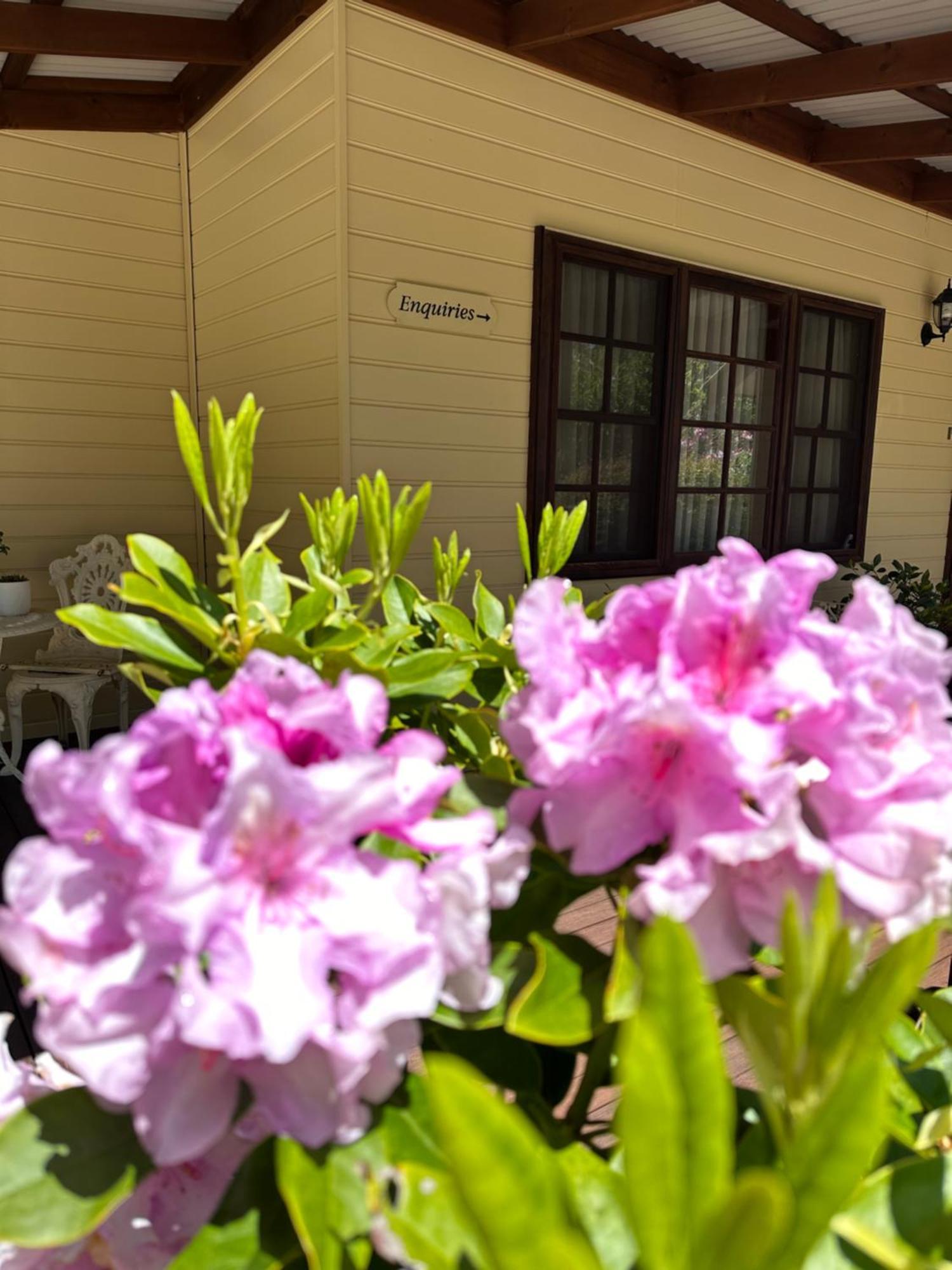 Valley Of The Waters B&B Wentworth Falls Eksteriør bilde