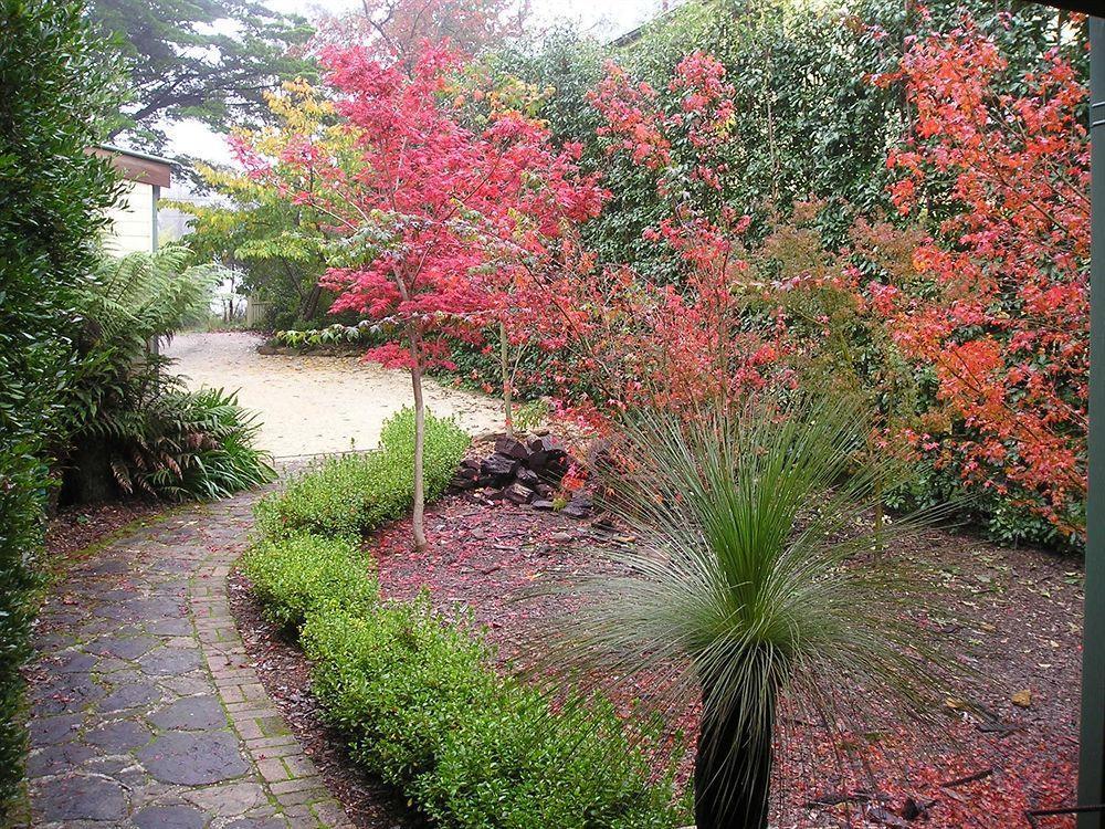 Valley Of The Waters B&B Wentworth Falls Eksteriør bilde