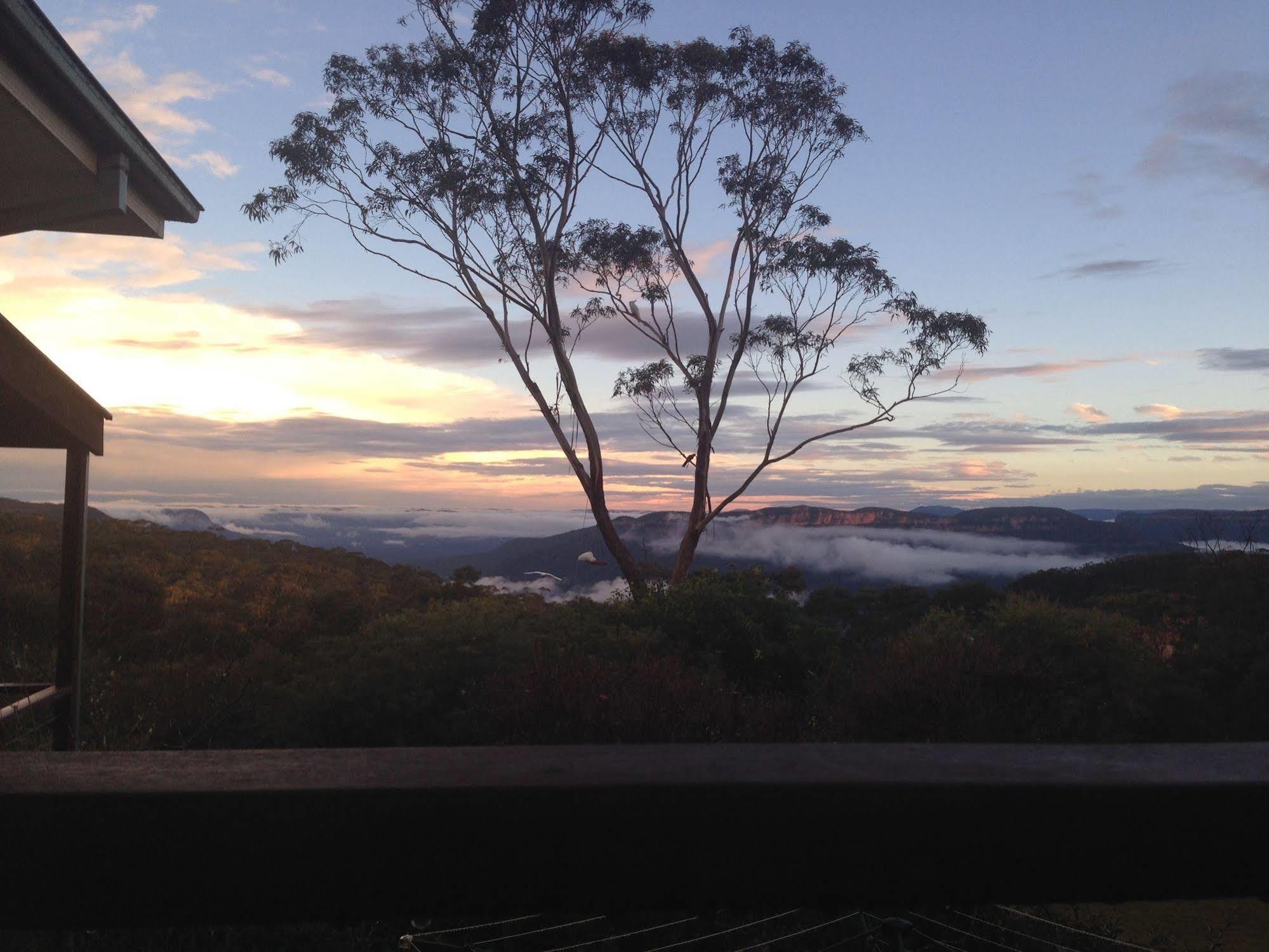 Valley Of The Waters B&B Wentworth Falls Eksteriør bilde