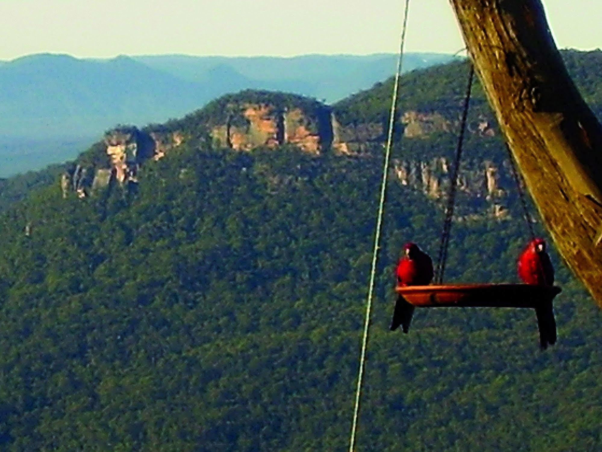 Valley Of The Waters B&B Wentworth Falls Eksteriør bilde