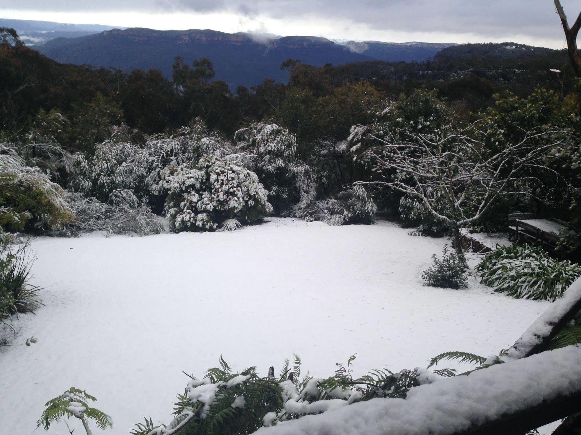 Valley Of The Waters B&B Wentworth Falls Eksteriør bilde