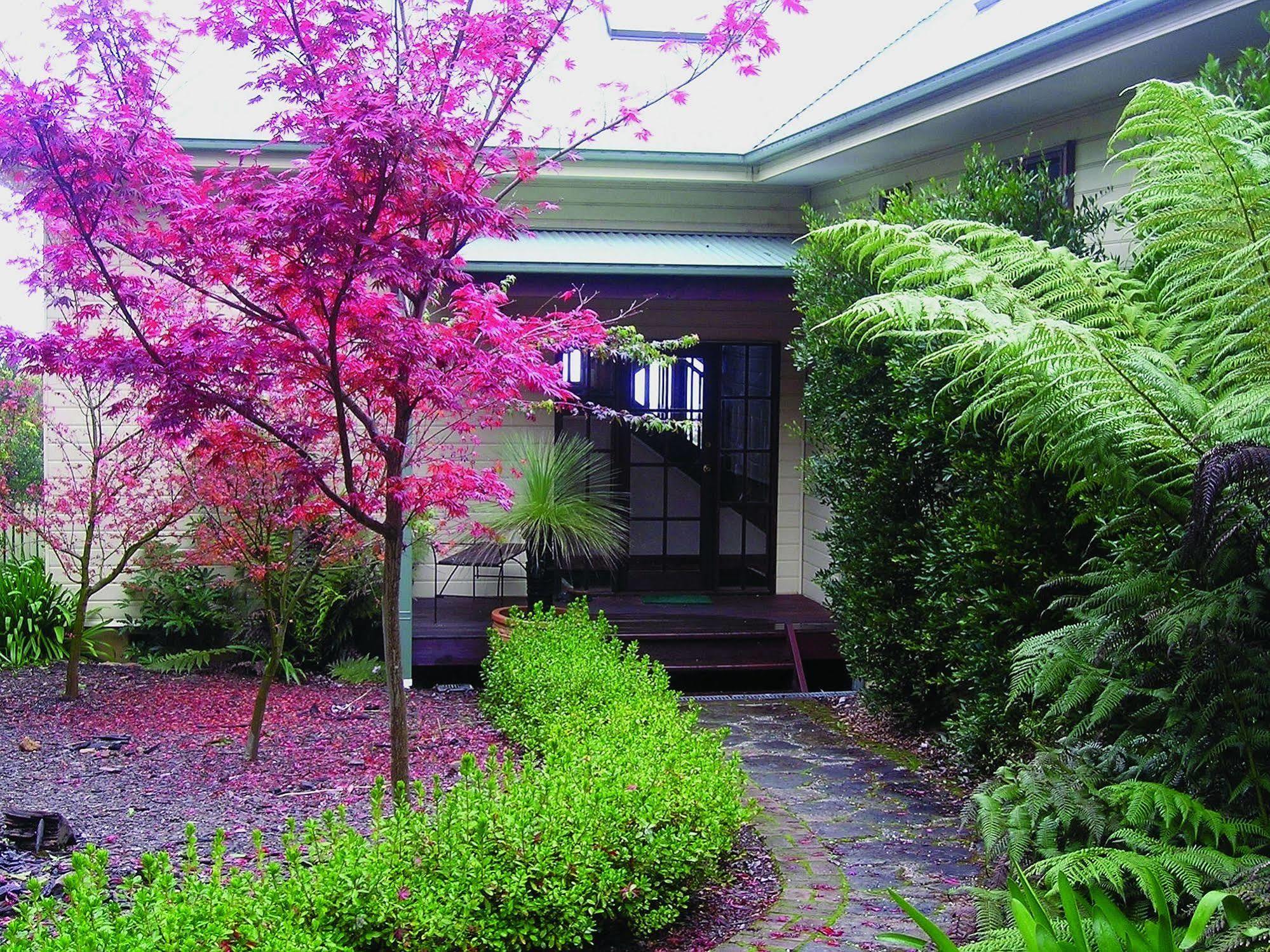 Valley Of The Waters B&B Wentworth Falls Eksteriør bilde