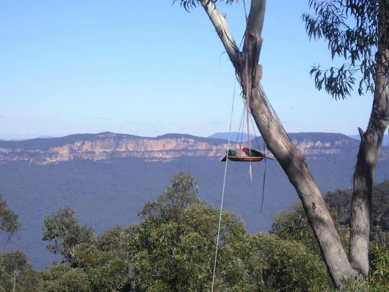 Valley Of The Waters B&B Wentworth Falls Eksteriør bilde