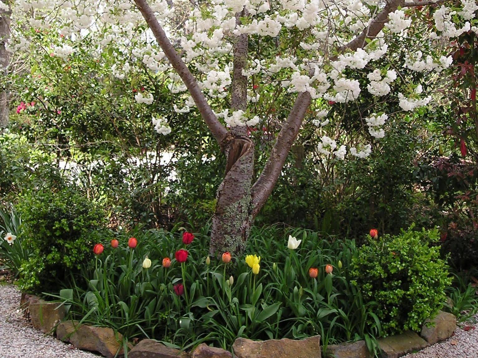 Valley Of The Waters B&B Wentworth Falls Eksteriør bilde