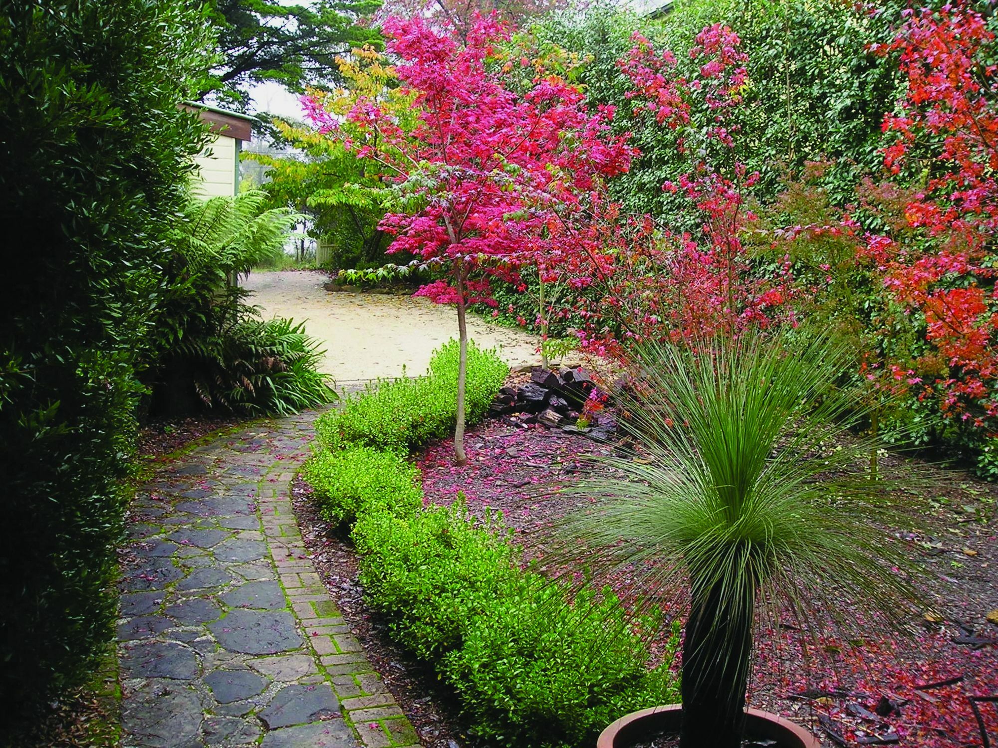 Valley Of The Waters B&B Wentworth Falls Eksteriør bilde